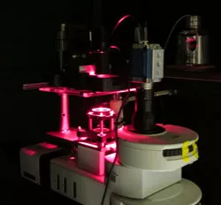 Neuroengineering module